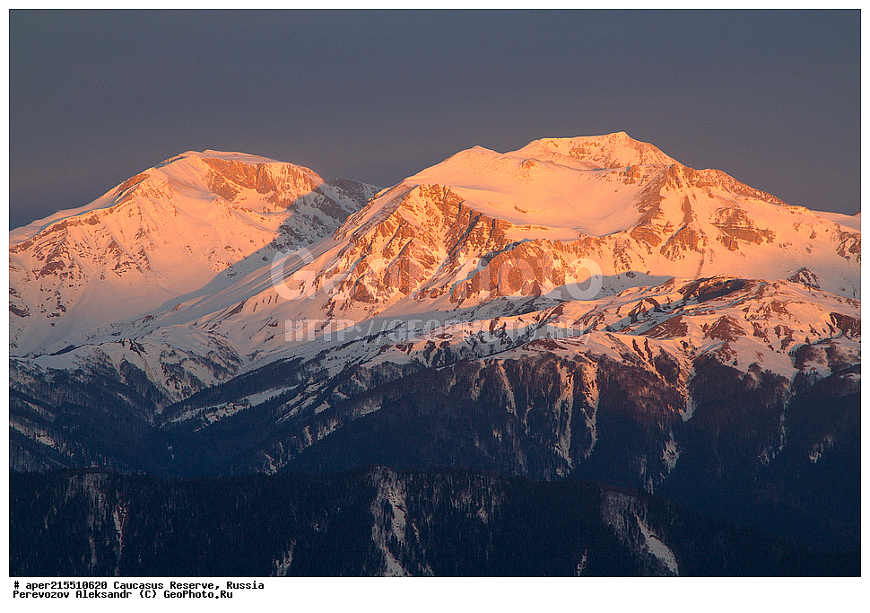 ������������� ����, ���������� ������, ���������-���������� ����������, ������, ���, ������, �������� ������, ���������� ��������������� ����������, ���������� ��������������� ��������� ���������� ���������� ����� �. �. ����������� ����������� ������� � ����-��������� ������ ������, ���� ����, �����, �������, �����-���, ������ �������� ����, ����, �����, ���, �����, �������, ������