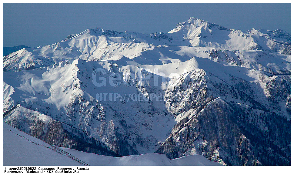 ������������� ����, ���������� ������, ���������-���������� ����������, ������, ���, ������, �������� ������, ���������� ��������������� ����������, ���������� ��������������� ��������� ���������� ���������� ����� �. �. �����������, ��������� ������, ���, ����, �����, �������, ������