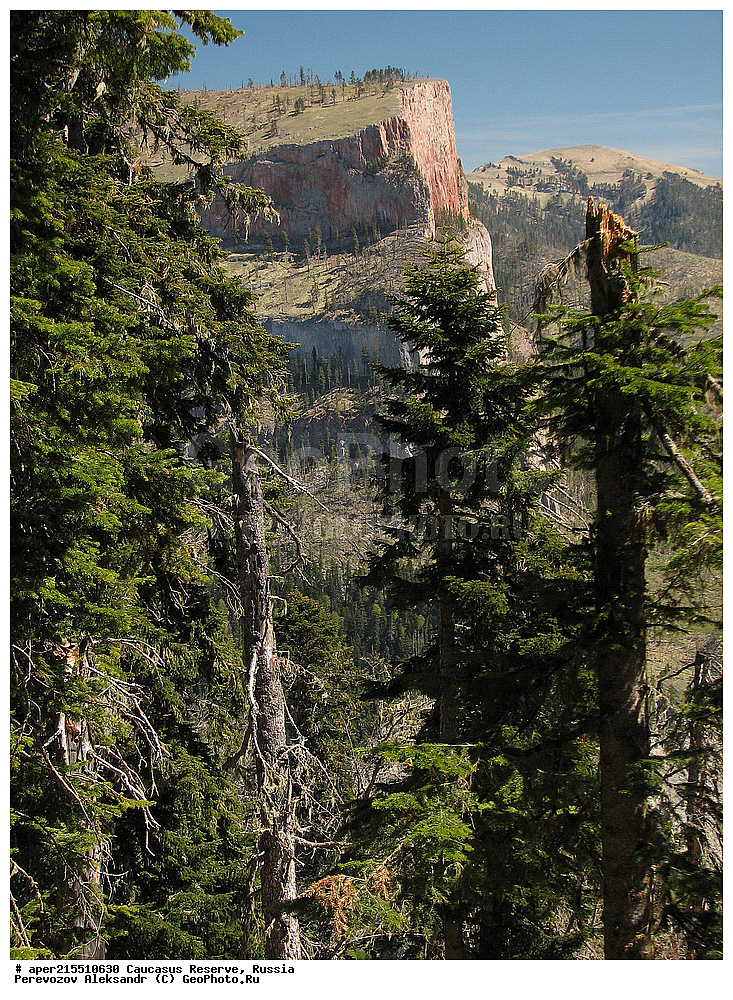 ������������� ����, ���������� ������, ���������-���������� ����������, ������, ���, ������, �������� ������, ���������� ��������������� ����������, ���������� ��������������� ��������� ���������� ���������� ����� �. �. �����������, ����� ������, ������, ������� �����, ���, ������� ������, ������