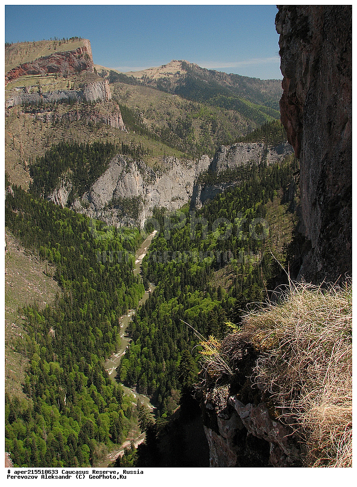 ������������� ����, ���������� ������, ���������-���������� ����������, ������, ���, ������, �������� ������, ���������� ��������������� ����������, ���������� ��������������� ��������� ���������� ���������� ����� �. �. �����������, ����� ������, ������, ������� �����, ���, ������� ������, ������