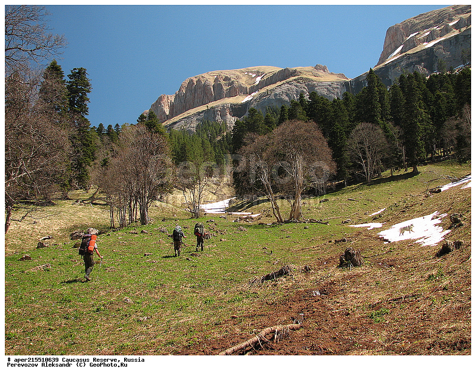 ������������� ����, ���������� ������, ���������-���������� ����������, ������, ���, ������, �������� ������, ���������� ��������������� ����������, ���������� ��������������� ��������� ���������� ���������� ����� �. �. �����������, ���, ������, ����������, ������ ������, ������, ������, ����� ���, ���, �������, �����, ���� �������, ������