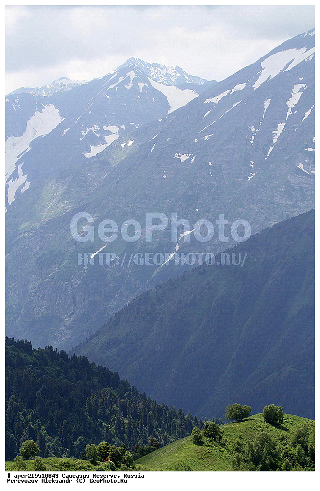 ������������� ����, ���������� ������, ���������-���������� ����������, ������, ���, ������, �������� ������, ���������� ��������������� ����������, ���������� ��������������� ��������� ���������� ���������� ����� �. �. �����������, �����, �������, �����, ��������, ����� ������ ������, �������� ����, ������, ���, ��������, �����, ����, ������