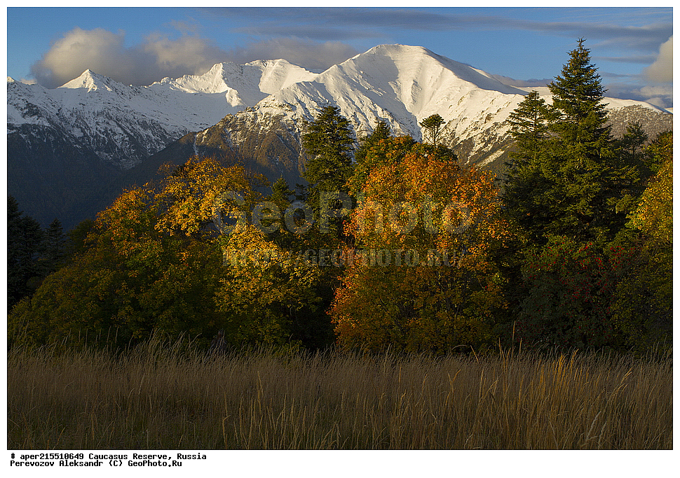 ������������� ����, ���������� ������, ���������-���������� ����������, ������, ���, ������, �������� ������, ���������� ��������������� ����������, ���������� ��������������� ��������� ���������� ���������� ����� �. �. �����������, �����, �������, �����, ��������, ����� ������ ������, �����, ������� ����, ���, ������, �������� �����, �����, ������