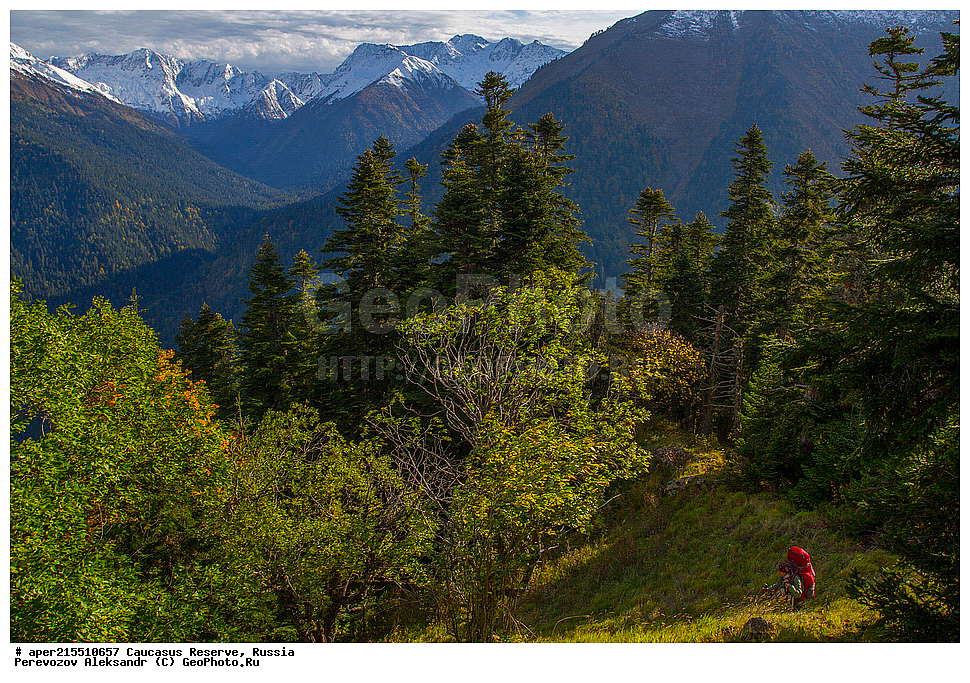  ������������� ����, ���������� ������, ���������-���������� ����������, ������, ���, ������, �������� ������, ���������� ��������������� ����������, ���������� ��������������� ��������� ���������� ���������� ����� �. �. ����������� ������ �� ���� ������, �����, ������