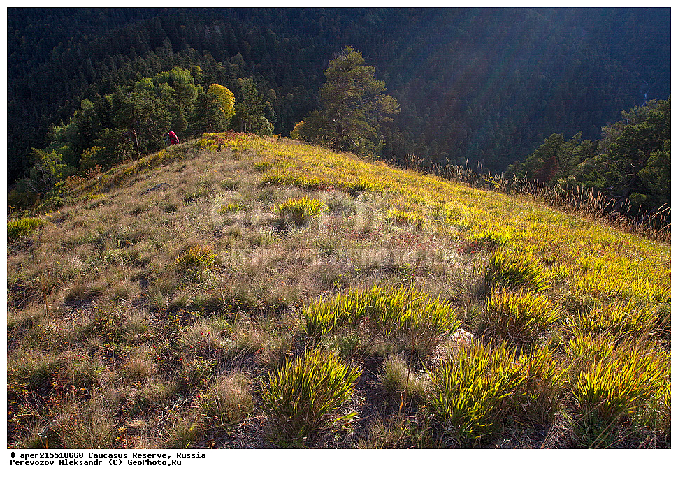  ������������� ����, ���������� ������, ���������-���������� ����������, ������, ���, ������, �������� ������, ���������� ��������������� ����������, ���������� ��������������� ��������� ���������� ���������� ����� �. �. ����������� ������ �� ���� ������, �����, ������