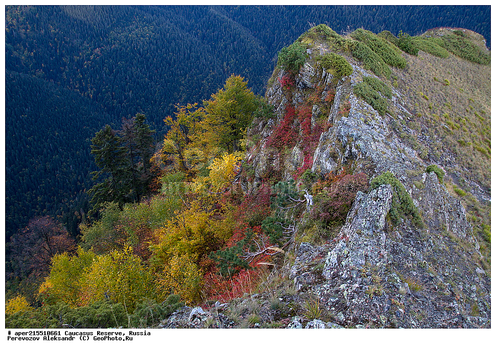  ������������� ����, ���������� ������, ���������-���������� ����������, ������, ���, ������, �������� ������, ���������� ��������������� ����������, ���������� ��������������� ��������� ���������� ���������� ����� �. �. ����������� ������ �� ���� ������, �����, ������