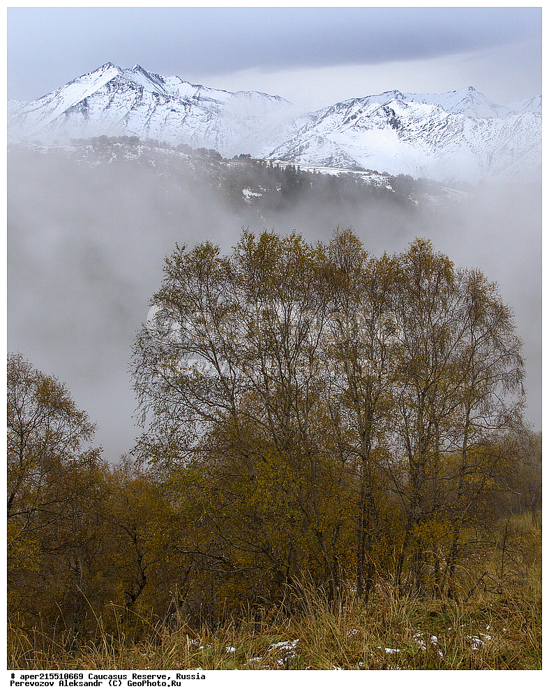 ������������� ����, ���������� ������, ���������-���������� ����������, ������, ���, ������, �������� ������, ���������� ��������������� ����������, ���������� ��������������� ��������� ���������� ���������� ����� �. �. �����������, �����, �������, �����, ��������, ����� ������ ������, �������� ����, ������, ���, ��������, �����, �����, ������