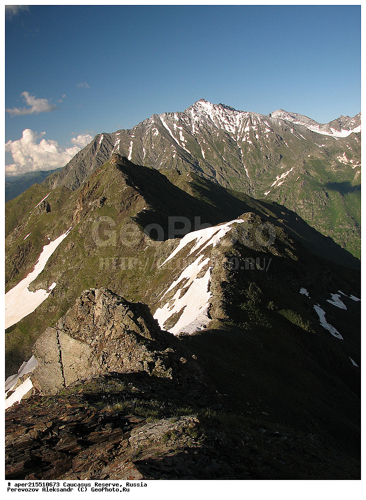 ������������� ����, ���������� ������, ���������-���������� ����������, ������, ���, ������, �������� ������, ���������� ��������������� ����������, ���������� ��������������� ��������� ���������� ���������� ����� �. �. �����������, ������, ������, ������, ����, ���, �����, ���������, ������, �����, ������