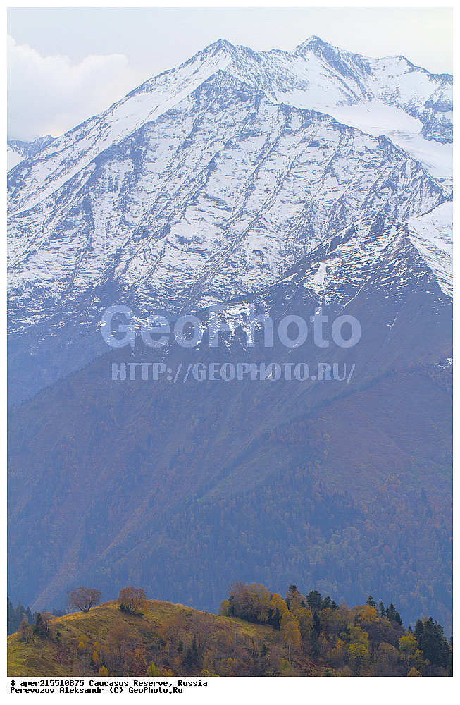 ������������� ����, ���������� ������, ���������-���������� ����������, ������, ���, ������, �������� ������, ���������� ��������������� ����������, ���������� ��������������� ��������� ���������� ���������� ����� �. �. �����������, �����, �������, �����, ��������, ����� ������ ������, �������� ����, ������, ���, ��������, �����, �����, ������