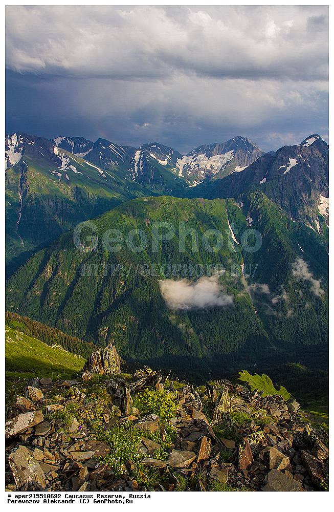  ������������� ����, ���������� ������, ���������-���������� ����������, ������, ���, ������, �������� ������, ���������� ��������������� ����������, ���������� ��������������� ��������� ���������� ���������� ����� �. �. �����������, �����, �������, �����, ��������, ����� ������ ������, �����-��������-�����, ���, ����, �������, ���������, ������, ����, ������