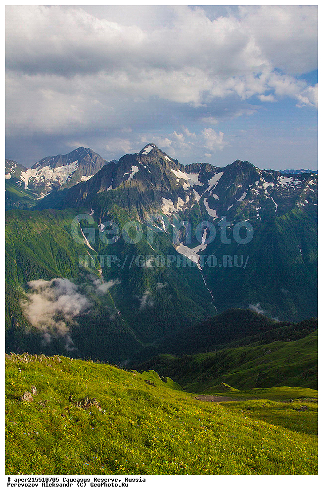  ������������� ����, ���������� ������, ���������-���������� ����������, ������, ���, ������, �������� ������, ���������� ��������������� ����������, ���������� ��������������� ��������� ���������� ���������� ����� �. �. �����������, �����, �������, �����, ��������, ����� ������ ������, �����-��������-�����, ���, ����, �������, ���������, ������, ����, ������