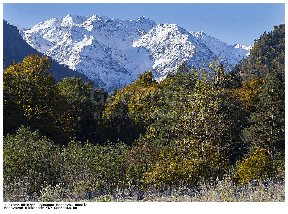 ������������� ����, ���������� ������, ���������-���������� ����������, ������, ���, ������, �������� ������, ���������� ��������������� ����������, ���������� ��������������� ��������� ���������� ���������� ����� �. �. �����������, ������, ������, ������, ����, ���, ������, ������, ������