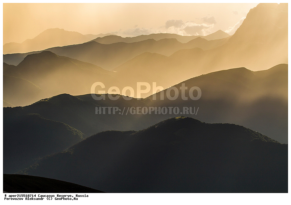 ������������� ����, ���������� ������, ���������-���������� ����������, ������, ���, ������, �������� ������, ���������� ��������������� ����������, ���������� ��������������� ��������� ���������� ���������� ����� �. �. �����������, ��������� ������, ���, ����, �����, �������, ������