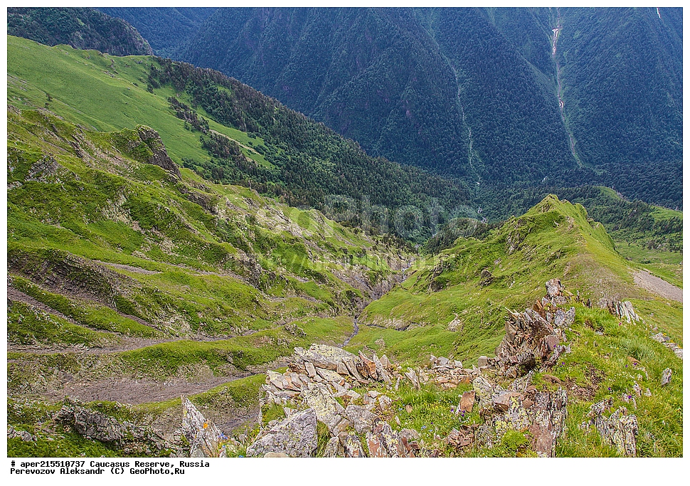 ������������� ����, ���������� ������, ���������-���������� ����������, ������, ���, ������, �������� ������, ���������� ��������������� ����������, ���������� ��������������� ��������� ���������� ���������� ����� �. �. �����������, �����, �������, �����, ��������, ����� ������ ������, ����� � ������� ����, ���� �������, �������, ����, ����, ������