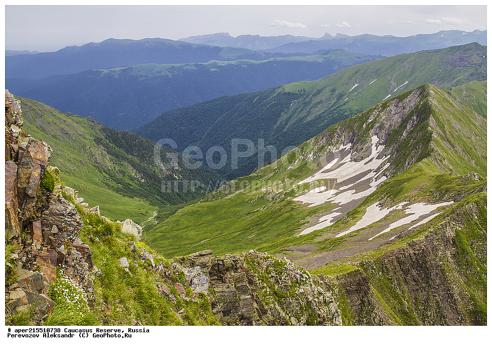 ������������� ����, ���������� ������, ���������-���������� ����������, ������, ���, ������, �������� ������, ���������� ��������������� ����������, ���������� ��������������� ��������� ���������� ���������� ����� �. �. �����������, �����, �������, �����, ��������, ����� ������ ������, ��������� ������, ����, ������