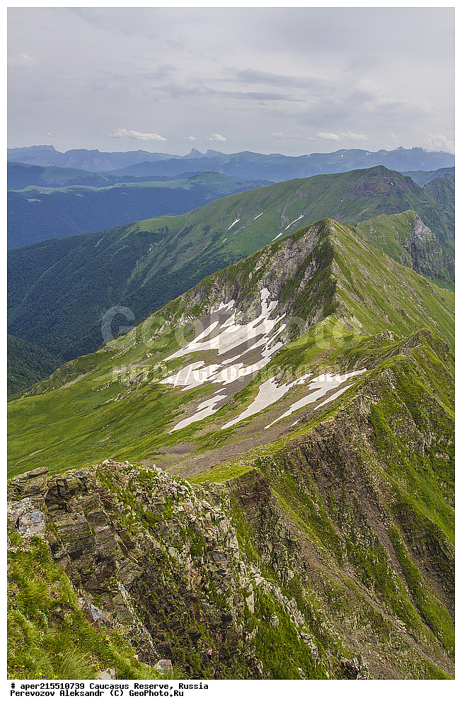 ������������� ����, ���������� ������, ���������-���������� ����������, ������, ���, ������, �������� ������, ���������� ��������������� ����������, ���������� ��������������� ��������� ���������� ���������� ����� �. �. �����������, �����, �������, �����, ��������, ����� ������ ������, ��������� ������, ����, ������