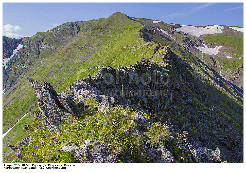 ������������� ����, ���������� ������, ���������-���������� ����������, ������, ���, ������, �������� ������, ���������� ��������������� ����������, ���������� ��������������� ��������� ���������� ���������� ����� �. �. �����������, �����, �������, �����, ��������, ����� ������ ������, ����� � ������� ����, ���� �������. ��� �� �������, ����, ������