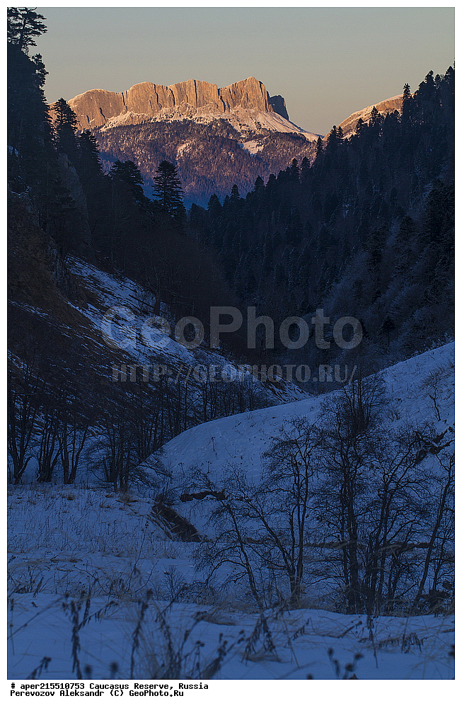 ������������� ����, ���������� ������, ���������-���������� ����������, ������, ���, ������, �������� ������, ���������� ��������������� ����������, ���������� ��������������� ��������� ���������� ���������� ����� �. �. �����������, ����, ������� ������, �������, �����, ������, ��������, ���, ������, ������, ����, ����, ������