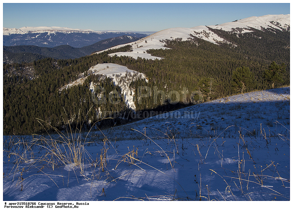 ������������� ����, ���������� ������, ���������-���������� ����������, ������, ���, ������, �������� ������, ���������� ��������������� ����������, ���������� ��������������� ��������� ���������� ���������� ����� �. �. �����������, ������, ����, ������, ���, ����, ������