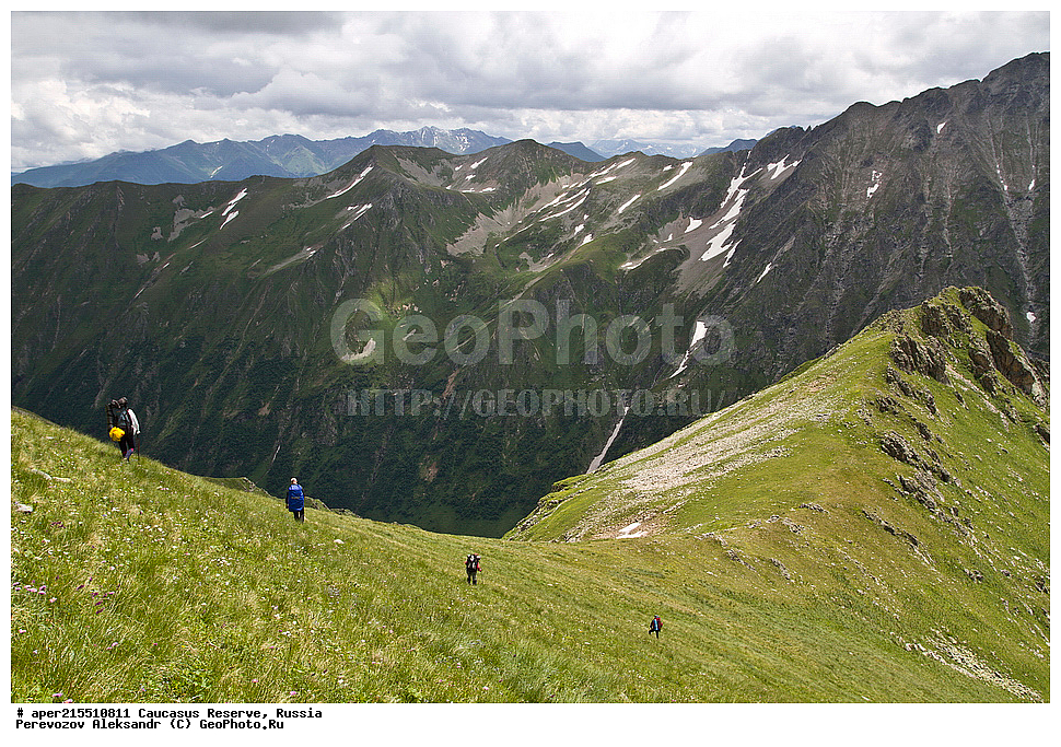 ������������� ����, ���������� ������, ���������-���������� ����������, ������, ���, ������, �������� ������, ���������� ��������������� ����������, ���������� ��������������� ��������� ���������� ���������� ����� �. �. �����������, ������� ������, ���, ������, ������ �����, ������