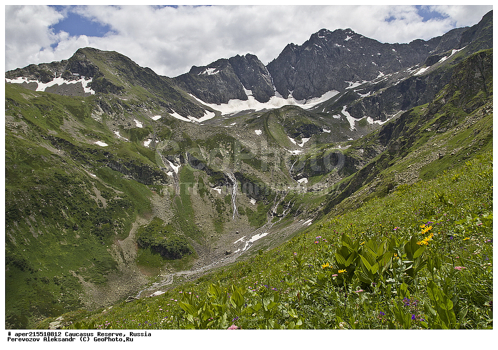 ������������� ����, ���������� ������, ���������-���������� ����������, ������, ���, ������, �������� ������, ���������� ��������������� ����������, ���������� ��������������� ��������� ���������� ���������� ����� �. �. �����������, �������, ����, ������