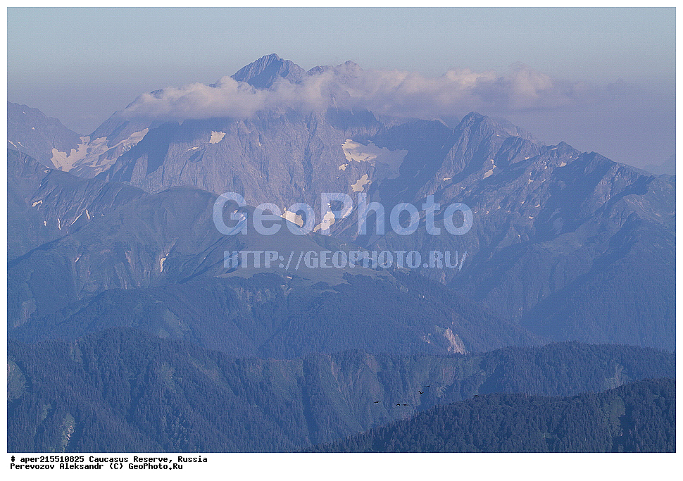  ������������� ����, ���������� ������, ���������-���������� ����������, ������, ���, ������, �������� ������, ���������� ��������������� ����������, ���������� ��������������� ��������� ���������� ���������� ����� �. �. �����������, �����, �������, �����, ��������, ����� ������ ������, ���, ���� �����, ���, ����������� �������, ������