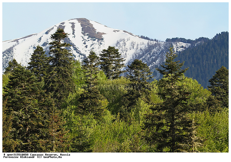 ������������� ����, ���������� ������, ���������-���������� ����������, ������, ���, ������, �������� ������, ���������� ��������������� ����������, ���������� ��������������� ��������� ���������� ���������� ����� �. �. �����������, ����� ���� � ������, ���, ������, ������, ������