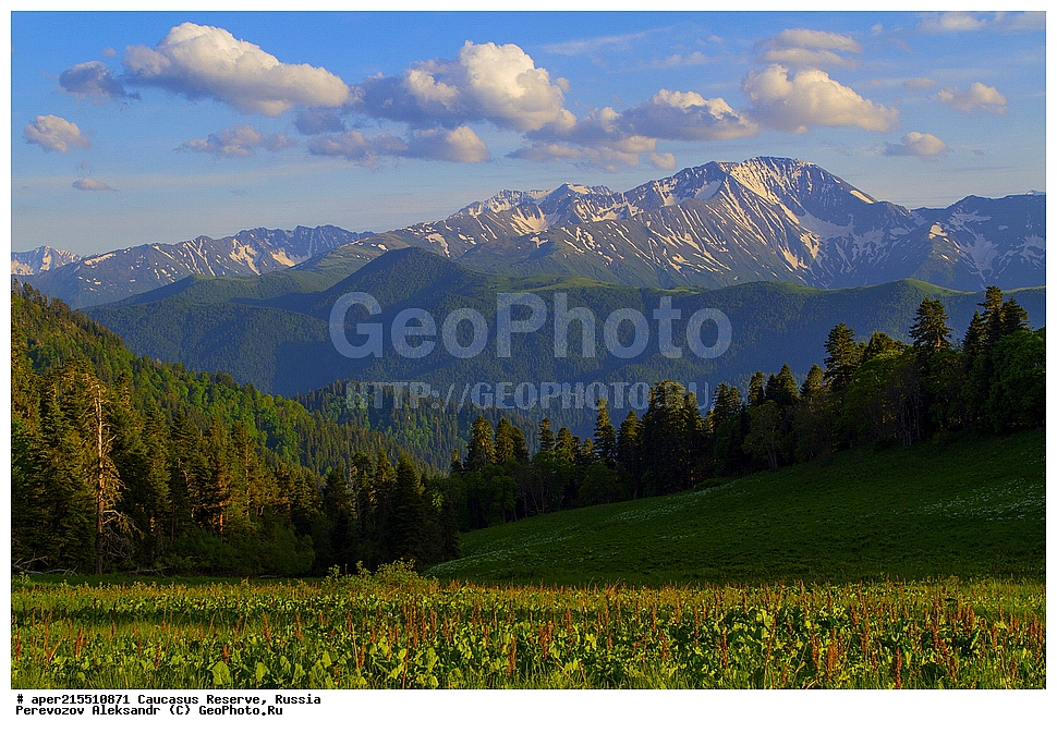 ������������� ����, ���������� ������, ���������-���������� ����������, ������, ���, ������, �������� ������, ���������� ��������������� ����������, ���������� ��������������� ��������� ���������� ���������� ����� �. �. �����������, �����, �������, �����, ��������, ����� ������ ������, ���� �����, ���, ������, ������, ������