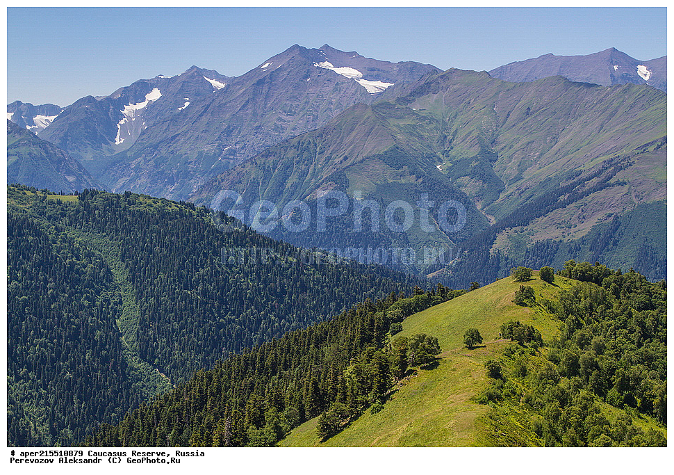 ������������� ����, ���������� ������, ���������-���������� ����������, ������, ���, ������, �������� ������, ���������� ��������������� ����������, ���������� ��������������� ��������� ���������� ���������� ����� �. �. �����������, �����, �������, �����, ��������, ����� ������ ������, �������� ����, ������, ���, ��������, �����, ����, ������