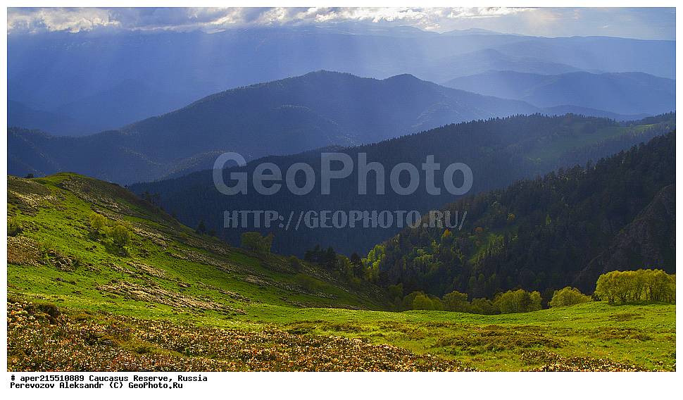 ������������� ����, ���������� ������, ���������-���������� ����������, ������, ���, ������, �������� ������, ���������� ��������������� ����������, ���������� ��������������� ��������� ���������� ���������� ����� �. �. �����������, ������, ����, ������, ������