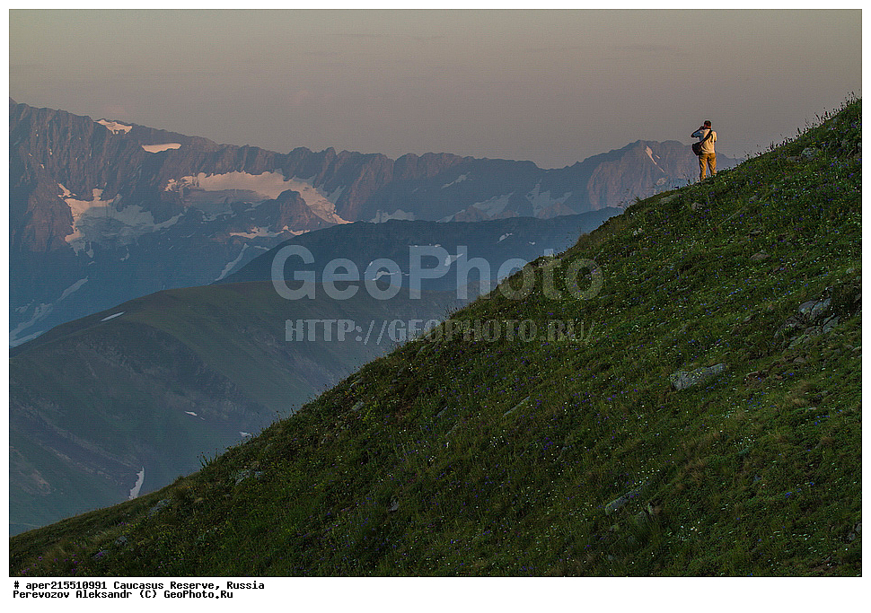 ������������� ����, ���������� ������, ���������-���������� ����������, ������, ���, ������, �������� ������, ���������� ��������������� ����������, ���������� ��������������� ��������� ���������� ���������� ����� �. �. �����������, �������, ����, ������, ���, ��������, ������