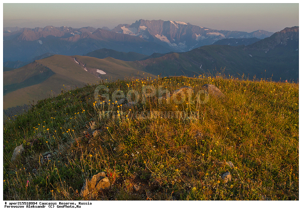 ������������� ����, ���������� ������, ���������-���������� ����������, ������, ���, ������, �������� ������, ���������� ��������������� ����������, ���������� ��������������� ��������� ���������� ���������� ����� �. �. �����������, �������, ����, ������, ���, ��������, ������