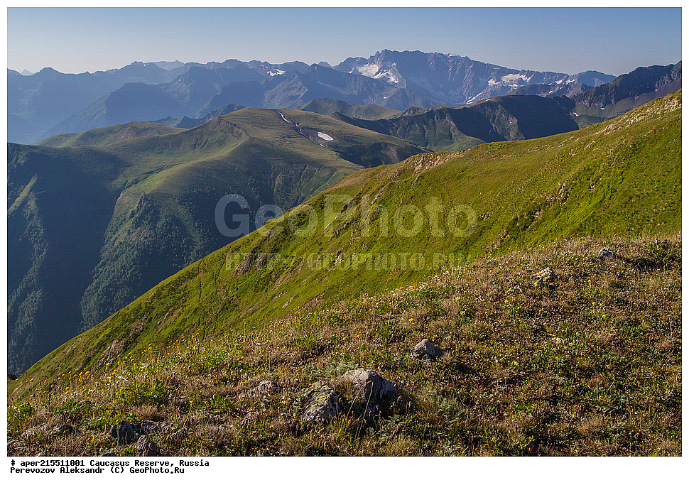 ������������� ����, ���������� ������, ���������-���������� ����������, ������, ���, ������, �������� ������, ���������� ��������������� ����������, ���������� ��������������� ��������� ���������� ���������� ����� �. �. �����������, �������, ����, ������, ���, ��������, ������