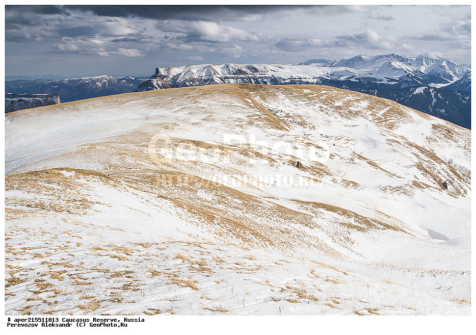 ������������� ����, ���������� ������, ���������-���������� ����������, ������, ���, ������, �������� ������, ���������� ��������������� ����������, ���������� ��������������� ��������� ���������� ���������� ����� �. �. �����������, �����-���������� (���� �����, ������, ������ ����������, ����-�����, �����������) ������ ������, ���������� ������, ����, ������