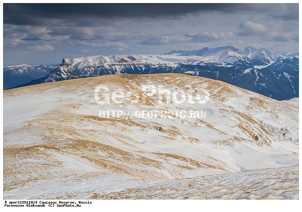 ������������� ����, ���������� ������, ���������-���������� ����������, ������, ���, ������, �������� ������, ���������� ��������������� ����������, ���������� ��������������� ��������� ���������� ���������� ����� �. �. �����������, �����-���������� (���� �����, ������, ������ ����������, ����-�����, �����������) ������ ������, ���������� ������, ����, ������