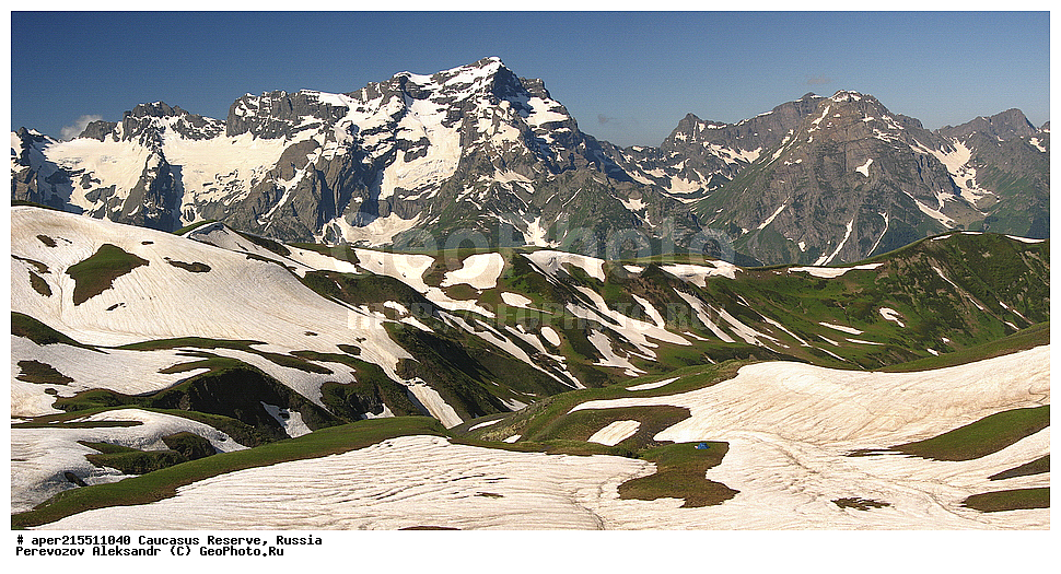 ������������� ����, ���������� ������, ���������-���������� ����������, ������, ���, ������, �������� ������, ���������� ��������������� ����������, ���������� ��������������� ��������� ���������� ���������� ����� �. �. �����������, ���� �������, ������ �������, ���, ������ �����, ������