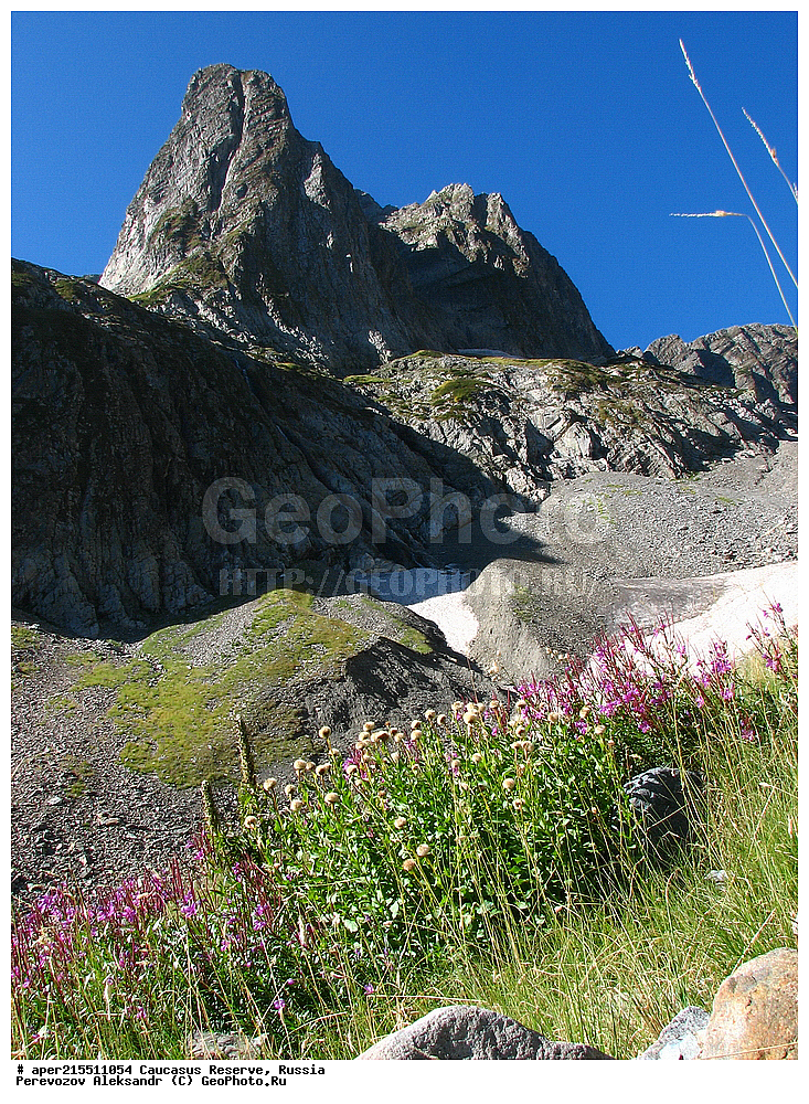 ������������� ����, ���������� ������, ���������-���������� ����������, ������, ���, ������, �������� ������, ���������� ��������������� ����������, ���������� ��������������� ��������� ���������� ���������� ����� �. �. �����������, �������� ���, ������