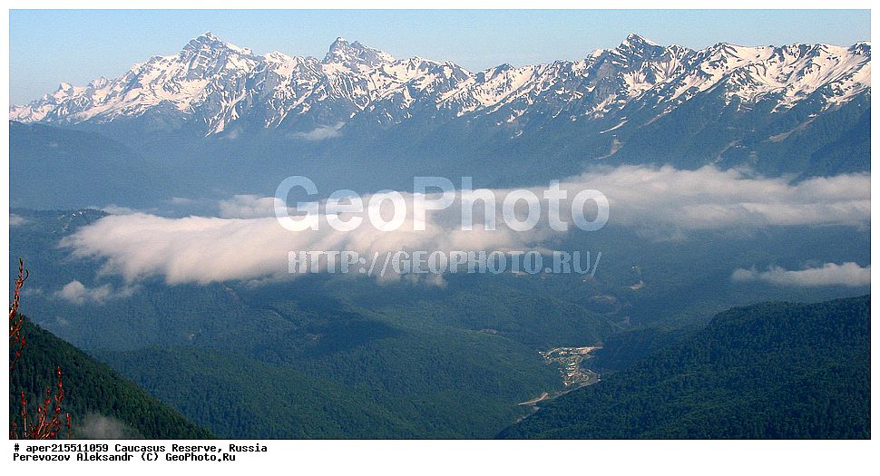 ������������� ����, ���������� ������, ���������-���������� ����������, ������, ���, ������, �������� ������, ���������� ��������������� ����������, ���������� ��������������� ��������� ���������� ���������� ����� �. �. �����������, ���� �������, ������ �������, ���� ����, �����, ��������� ��������, ������