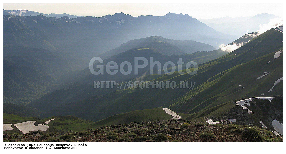 ������������� ����, ���������� ������, ���������-���������� ����������, ������, ���, ������, �������� ������, ���������� ��������������� ����������, ���������� ��������������� ��������� ���������� ���������� ����� �. �. �����������, ���� �����, ���, ������ �����, ������