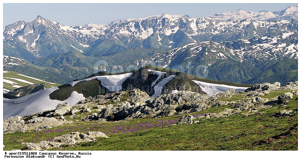 ������������� ����, ���������� ������, ���������-���������� ����������, ������, ���, ������, �������� ������, ���������� ��������������� ����������, ���������� ��������������� ��������� ���������� ���������� ����� �. �. �����������, ������ �����, �����, ���������, ������