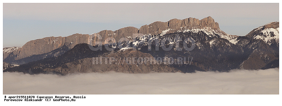 ������������� ����, ���������� ������, ���������-���������� ����������, ������, ���, ������, �������� ������, ���������� ��������������� ����������, ���������� ��������������� ��������� ���������� ���������� ����� �. �. �����������, ����, ������� ������, �������, �����, ������, ��������, ���, ������, ������, ������