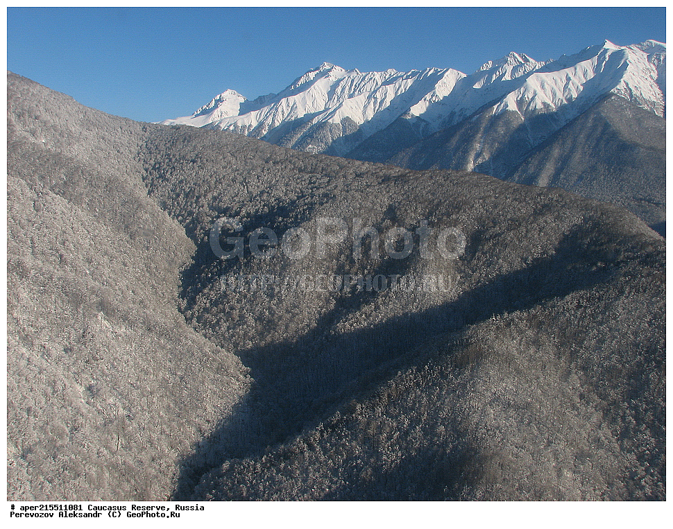 ������������� ����, ���������� ������, ���������-���������� ����������, ������, ���, ������, �������� ������, ���������� ��������������� ����������, ���������� ��������������� ��������� ���������� ���������� ����� �. �. �����������, �����, �������, �����, ��������, ����� ������ ������, ���, ��������, ���� �����, ����, ������