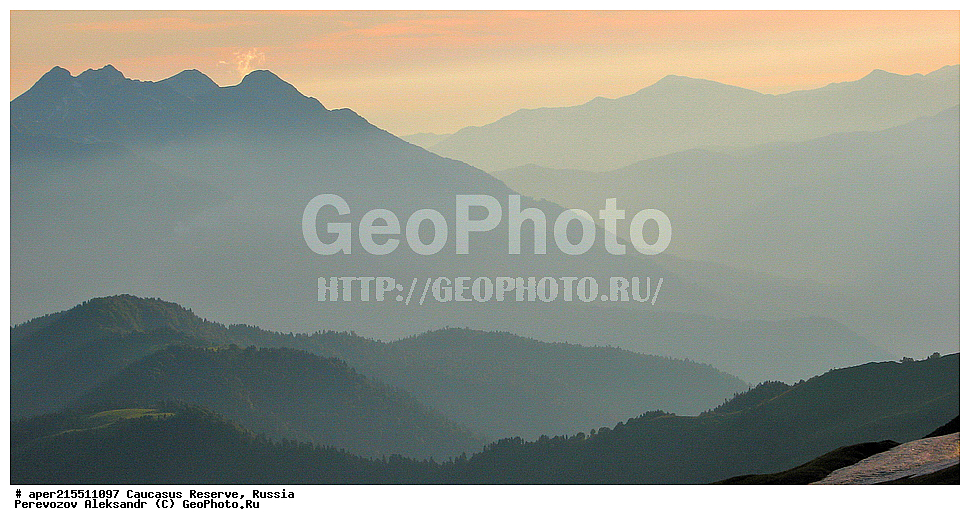 ������������� ����, ���������� ������, ���������-���������� ����������, ������, ���, ������, �������� ������, ���������� ��������������� ����������, ���������� ��������������� ��������� ���������� ���������� ����� �. �. �����������, ���� �����, ���, ������ �����, ������