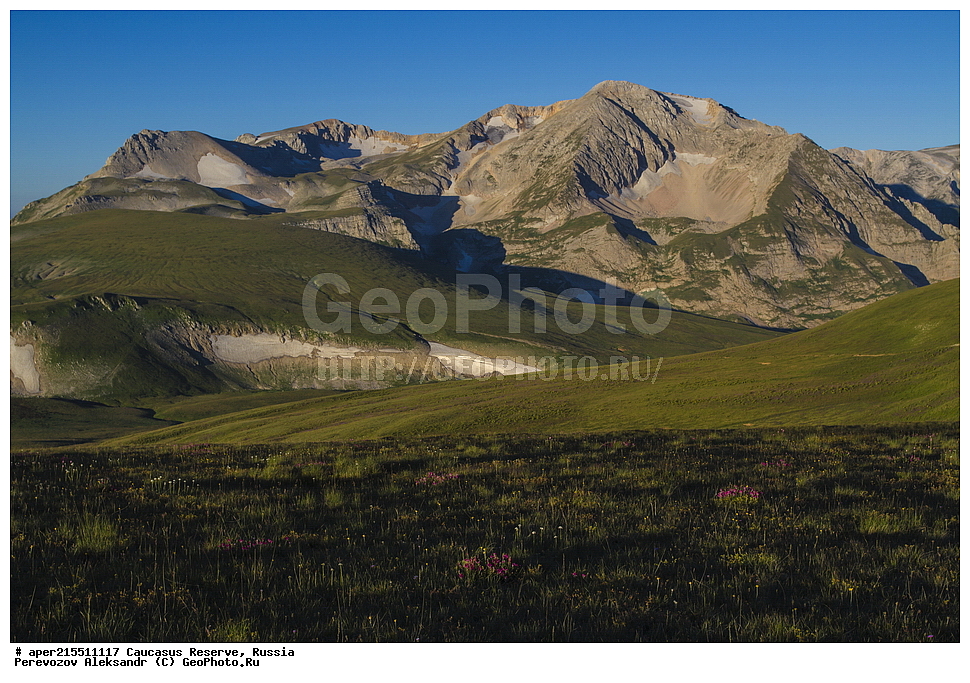 ������������� ����, ���������� ������, ���������-���������� ����������, ������, ���, ������, �������� ������, ���������� ��������������� ����������, ���������� ��������������� ��������� ���������� ���������� ����� �. �. ����������� ����������� ������� � ����-��������� ������ ������, ���� ����, �����, �������, �����-���, ������ �������� ����, ����, �����, ���, ������, �������� ����, ����������� �������, ������