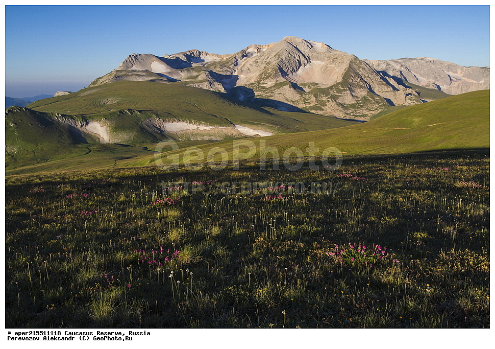 ������������� ����, ���������� ������, ���������-���������� ����������, ������, ���, ������, �������� ������, ���������� ��������������� ����������, ���������� ��������������� ��������� ���������� ���������� ����� �. �. ����������� ����������� ������� � ����-��������� ������ ������, ���� ����, �����, �������, �����-���, ������ �������� ����, ����, �����, ���, ������, �������� ����, ����������� �������, ������