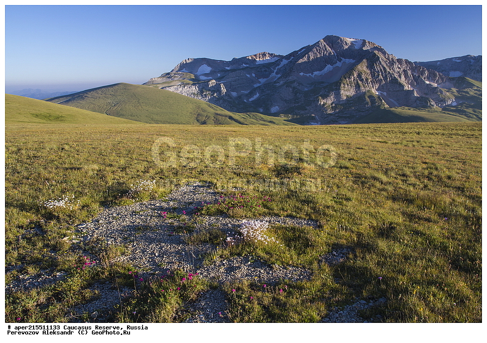 ������������� ����, ���������� ������, ���������-���������� ����������, ������, ���, ������, �������� ������, ���������� ��������������� ����������, ���������� ��������������� ��������� ���������� ���������� ����� �. �. ����������� ����������� ������� � ����-��������� ������ ������, ���� ����, �����, �������, �����-���, ������ �������� ����, ����, �����, ���, ������, �������� ����, ����������� �������, ������