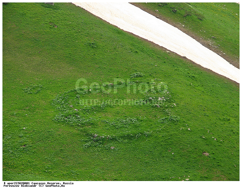 ������������� ����, ���������� ������, ���������-���������� ����������, ������, ���, ������, �������� ������, ���������� ��������������� ����������, ���������� ��������������� ��������� ���������� ���������� ����� �. �. �����������, �������, ���������, �����