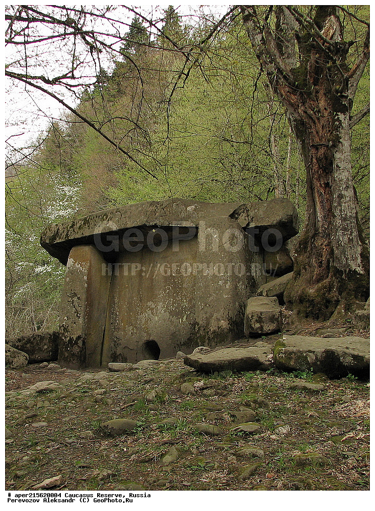 ������������� ����, ���������� ������, ���������-���������� ����������, ������, ���, ������, �������� ������, ���������� ��������������� ����������, ���������� ��������������� ��������� ���������� ���������� ����� �. �. �����������, �������, ���������, �����