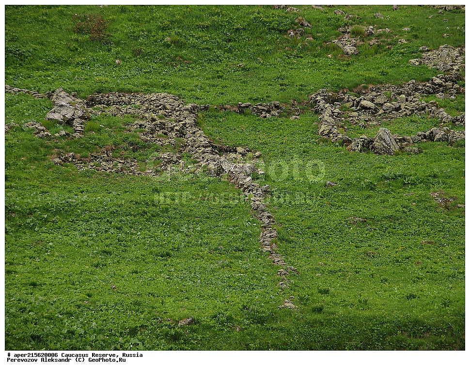 ������������� ����, ���������� ������, ���������-���������� ����������, ������, ���, ������, �������� ������, ���������� ��������������� ����������, ���������� ��������������� ��������� ���������� ���������� ����� �. �. �����������, �������, ���������, �����