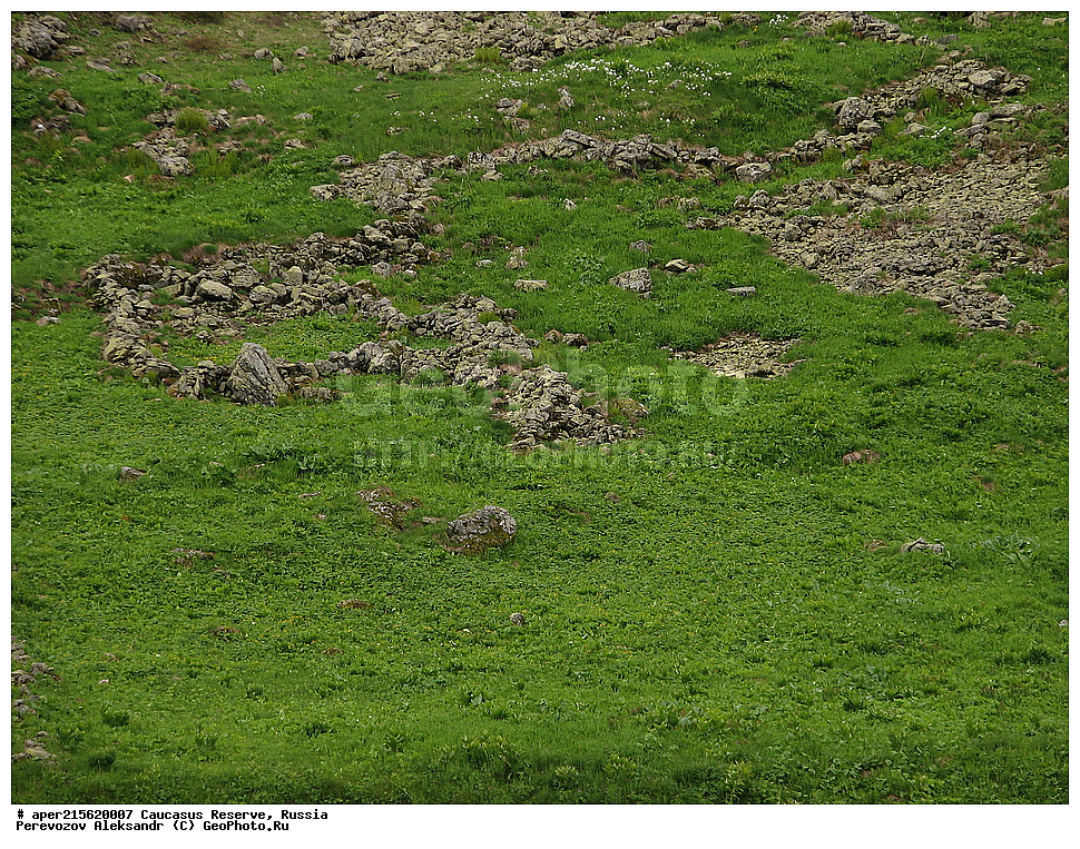 ������������� ����, ���������� ������, ���������-���������� ����������, ������, ���, ������, �������� ������, ���������� ��������������� ����������, ���������� ��������������� ��������� ���������� ���������� ����� �. �. �����������, �������, ���������, �����